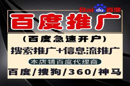 行业领先企业的SEM服务托管策略案例